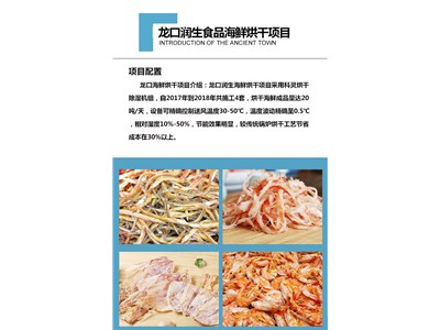 「案例展示」龍口潤(rùn)生食品海鮮烘干項(xiàng)目